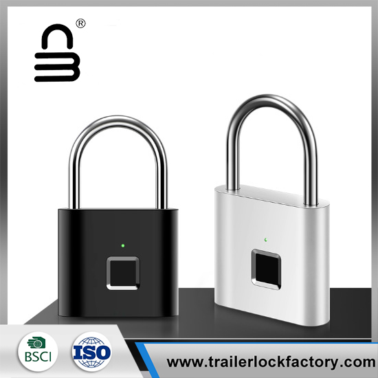 Mini Keyless Smart Security Lock